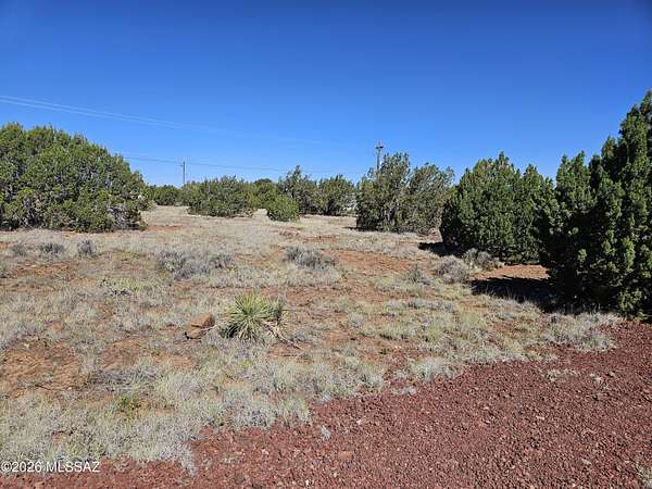 0.11 Acres of Land for Sale in Show Low, Arizona
