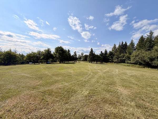 20 Acres of Recreational & Residential Land for Sale in Curtis, Michigan