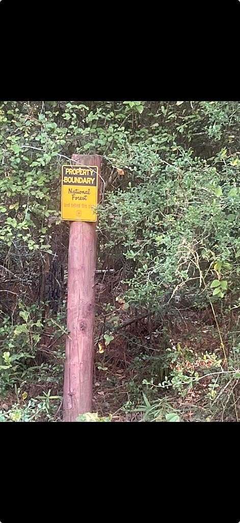 6.1 Acres of Land for Sale in Kennard, Texas