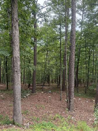 0.29 Acres of Residential Land for Sale in Hot Springs Village, Arkansas