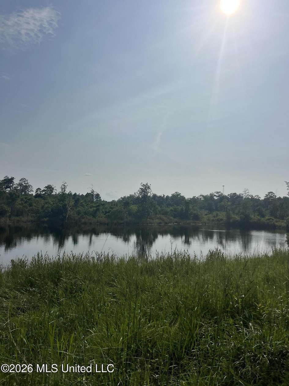 220 Acres of Recreational Land for Sale in Perkinston, Mississippi