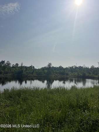 220 Acres of Recreational Land for Sale in Perkinston, Mississippi