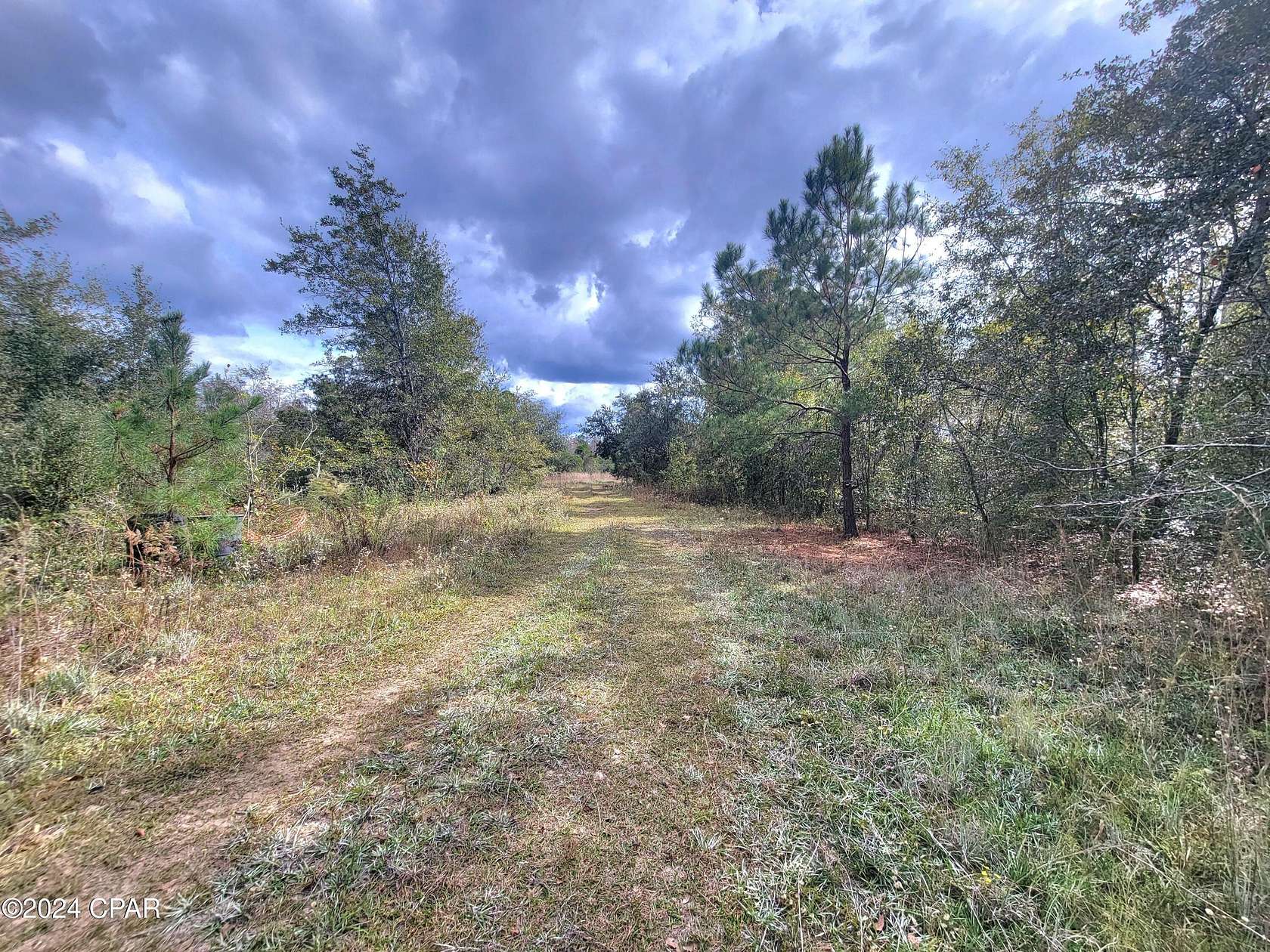 11.4 Acres of Land for Sale in Grand Ridge, Florida