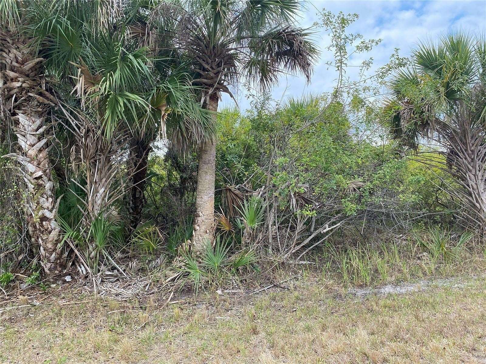 0.23 Acres of Residential Land for Sale in Port Charlotte, Florida
