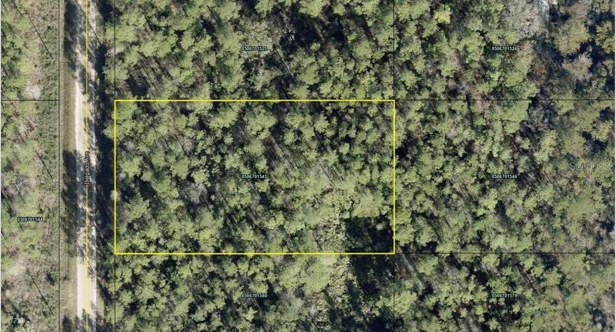 1.14 Acres of Residential Land for Sale in Hastings, Florida