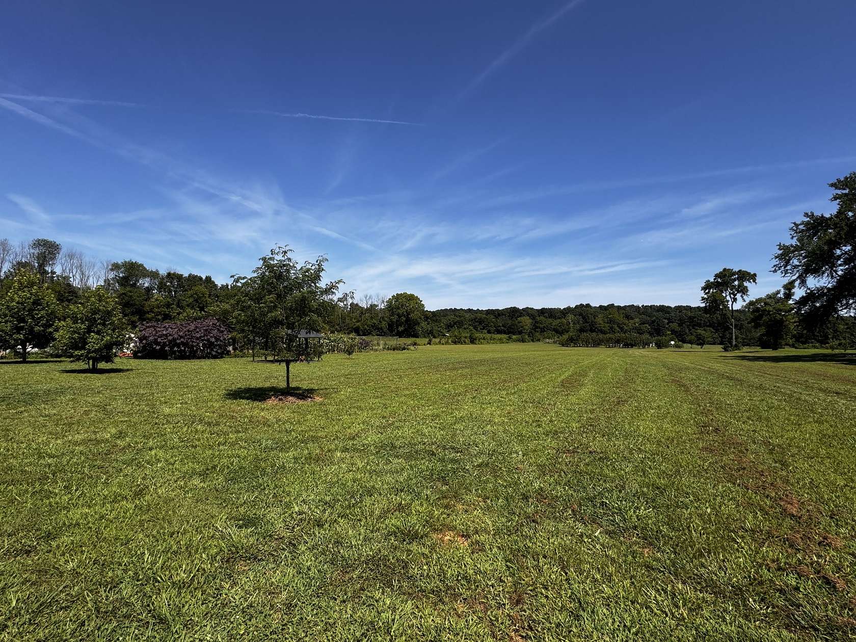 10.2 Acres of Land with Home for Sale in Lebanon, Tennessee