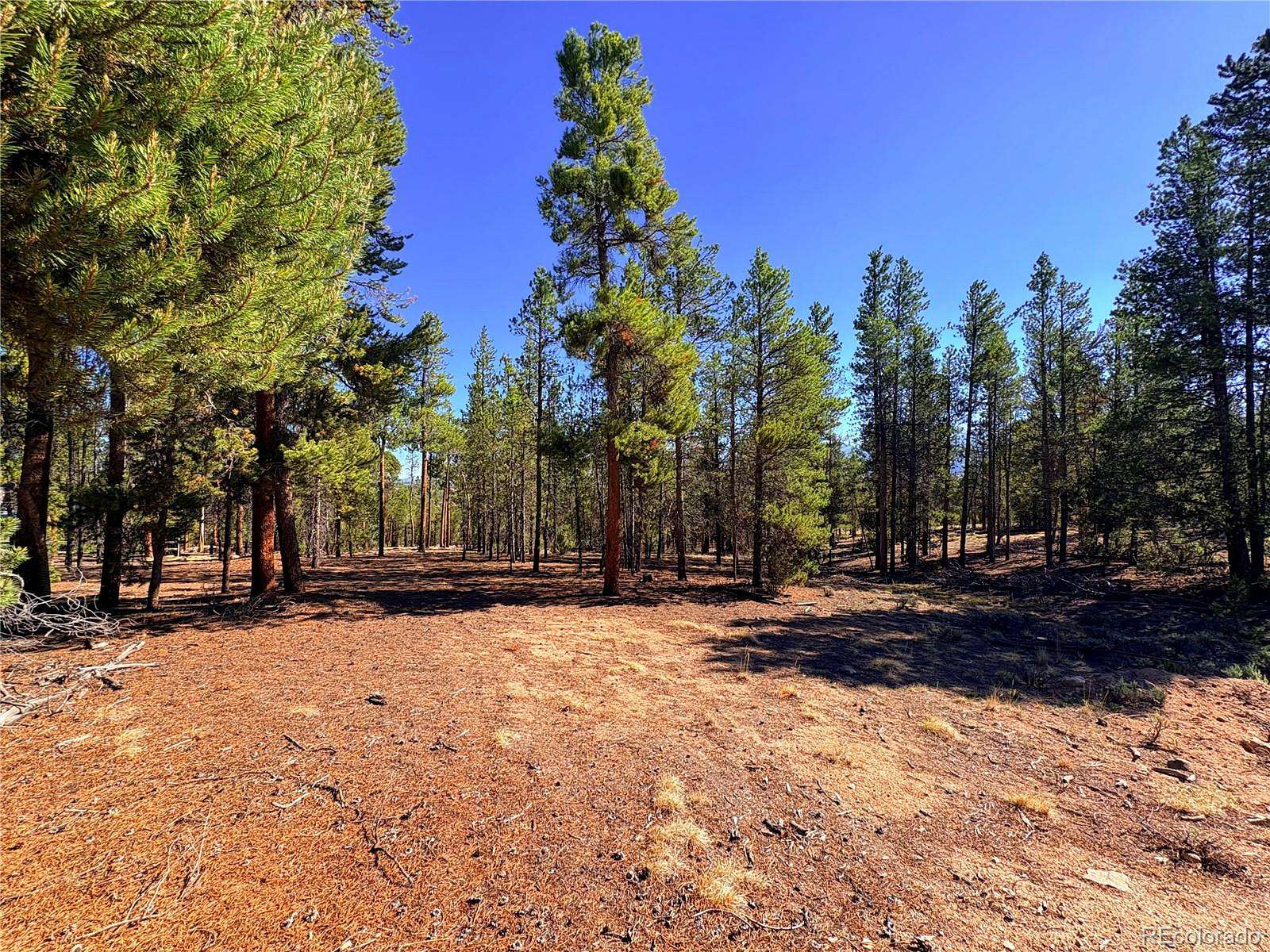 0.6 Acres of Residential Land for Sale in Leadville, Colorado
