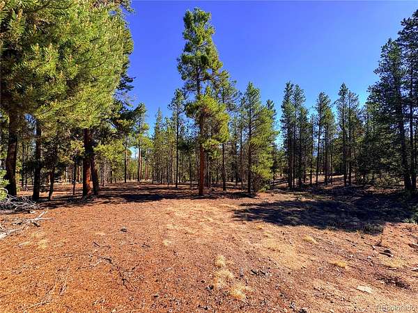 0.6 Acres of Residential Land for Sale in Leadville, Colorado