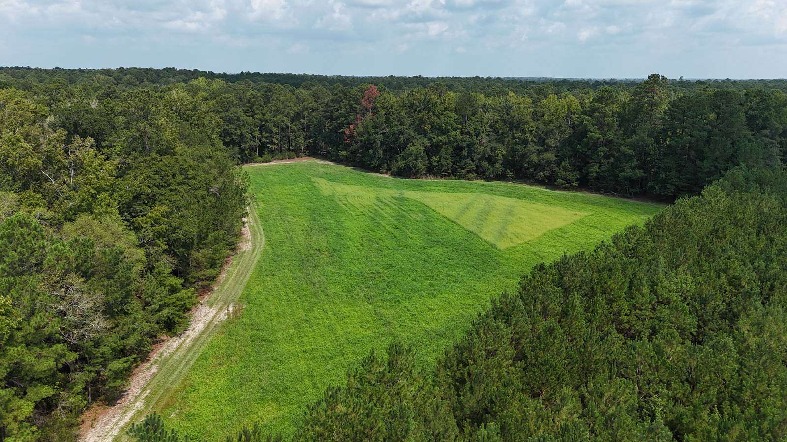 86.6 Acres of Recreational Land for Sale in Hampton, South Carolina