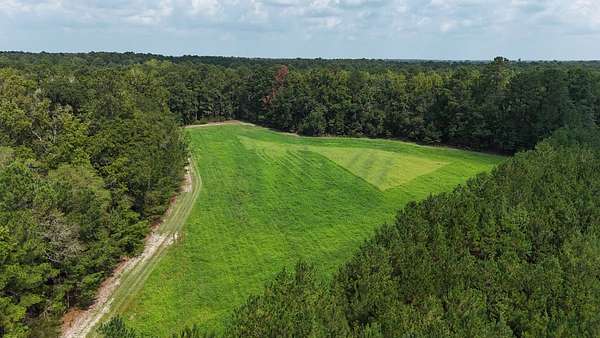 86.6 Acres of Recreational Land for Sale in Hampton, South Carolina