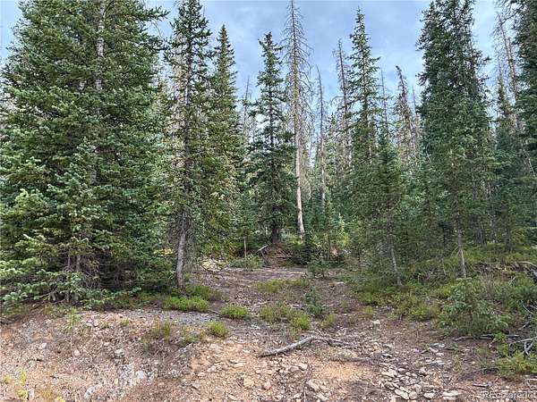 5.42 Acres of Land for Sale in San Luis, Colorado