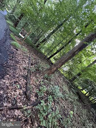 0.41 Acres of Land for Sale in Great Falls, Virginia