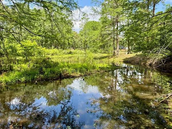 1.3 Acres of Residential Land for Sale in Hemphill, Texas