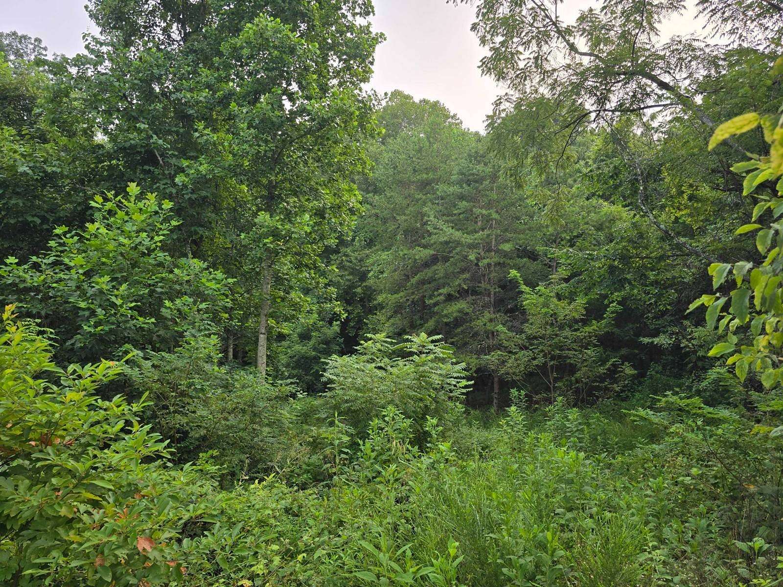 18.6 Acres of Recreational & Residential Land for Sale in Rutledge, Tennessee