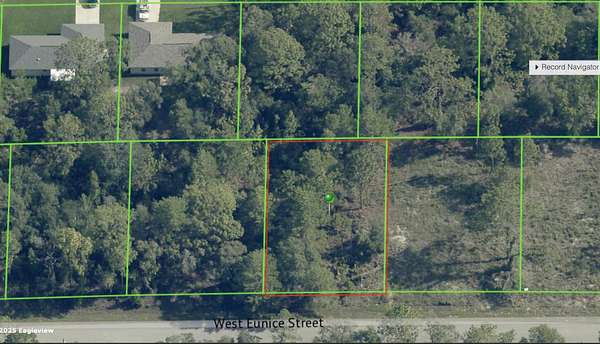 0.25 Acres of Residential Land for Sale in Dunnellon, Florida