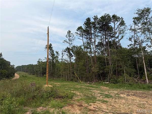 30.4 Acres of Recreational Land for Sale in Glen Allen, Missouri