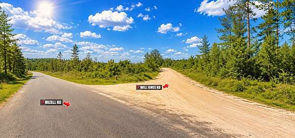 17.9 Acres of Recreational & Residential Land for Sale in Vinegar Bend, Alabama