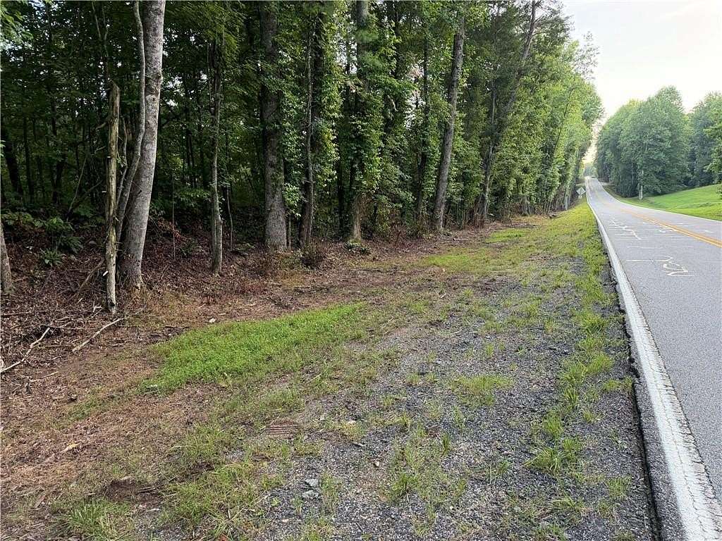 16.9 Acres of Land for Sale in Dahlonega, Georgia