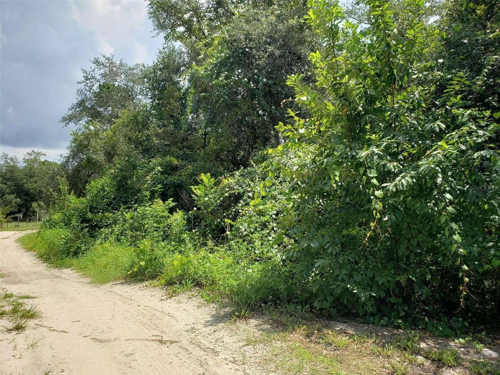 0.37 Acres of Residential Land for Sale in Paisley, Florida