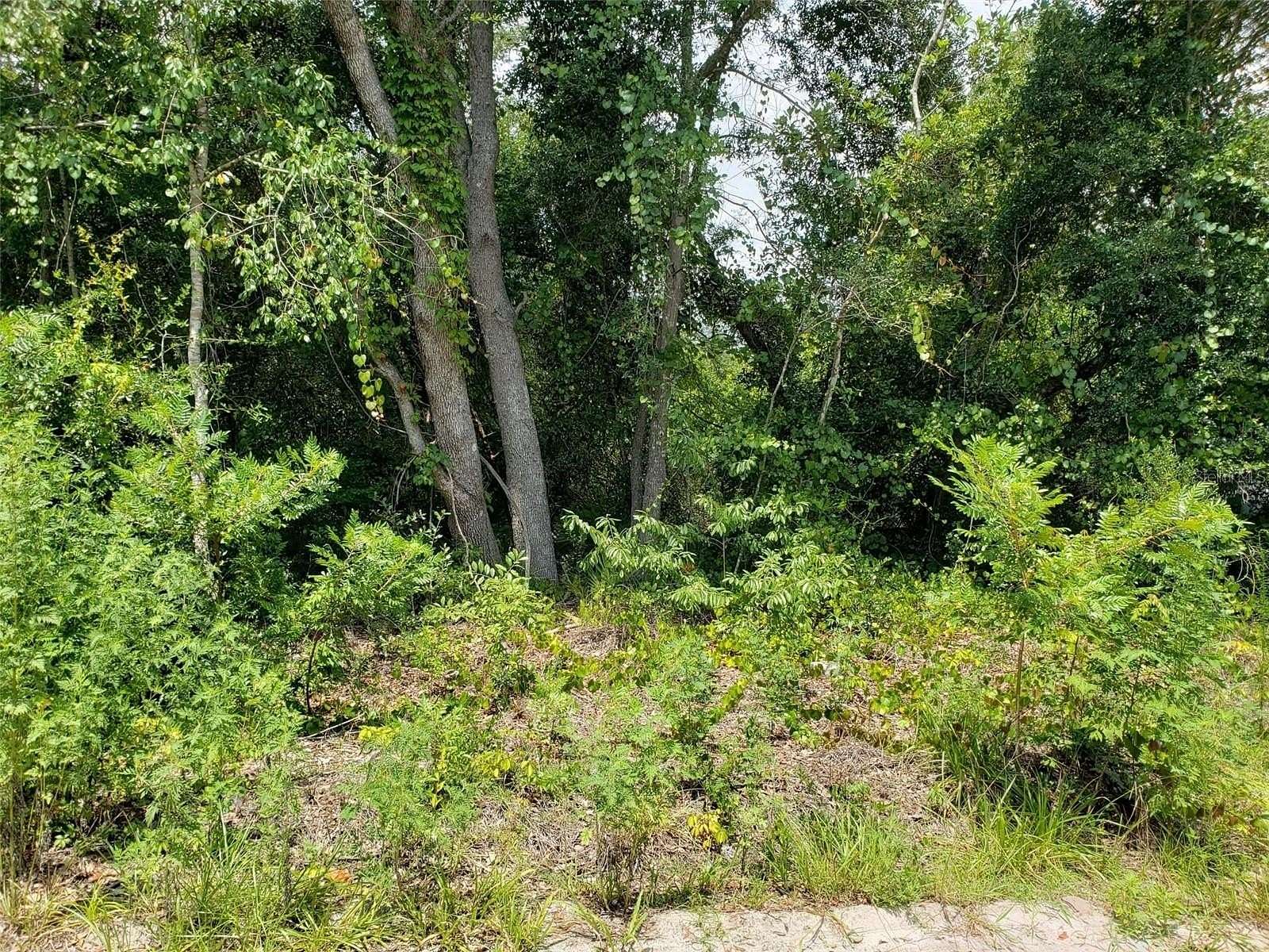 0.24 Acres of Residential Land for Sale in Paisley, Florida