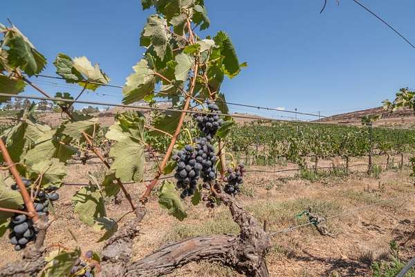 5.8 Acres of Land for Sale in Winchester, California