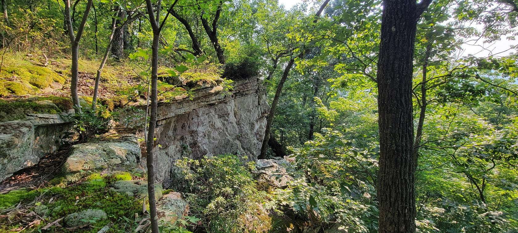 69 Acres of Land for Sale in South Pittsburg, Tennessee