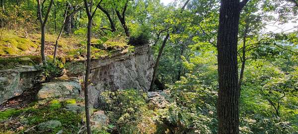 69 Acres of Land for Sale in South Pittsburg, Tennessee