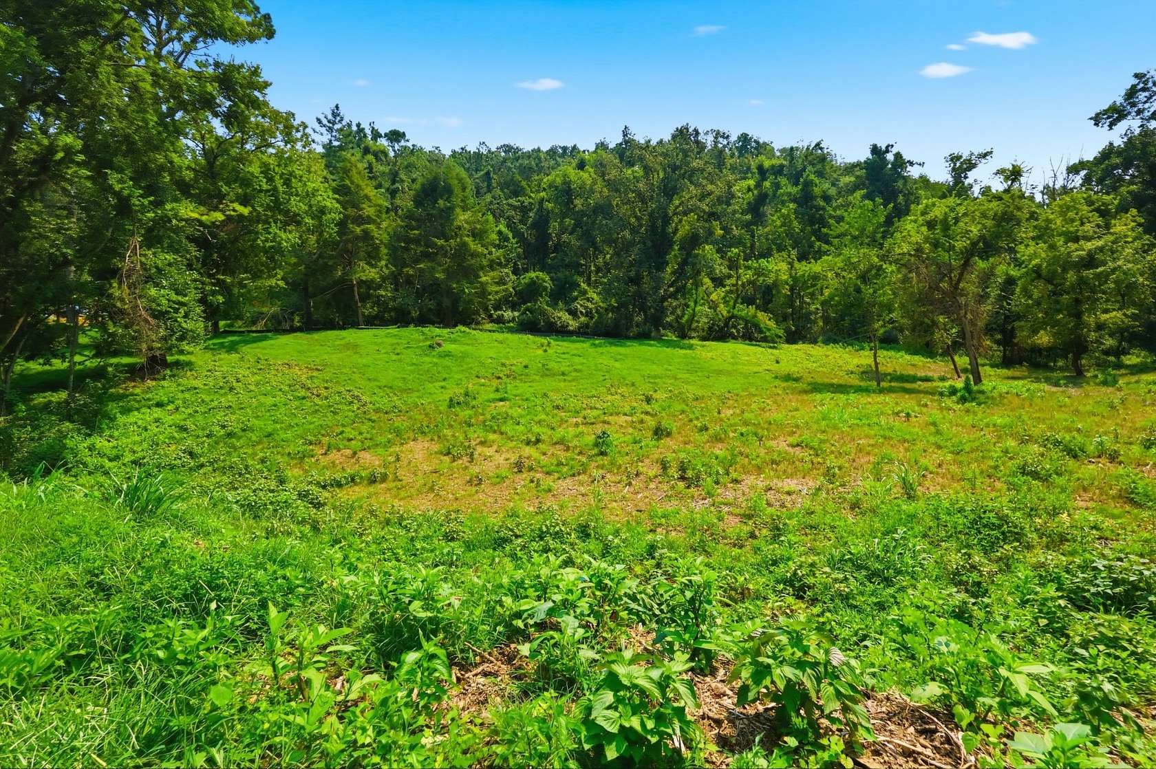 3.14 Acres of Residential Land for Sale in Nashville, Tennessee