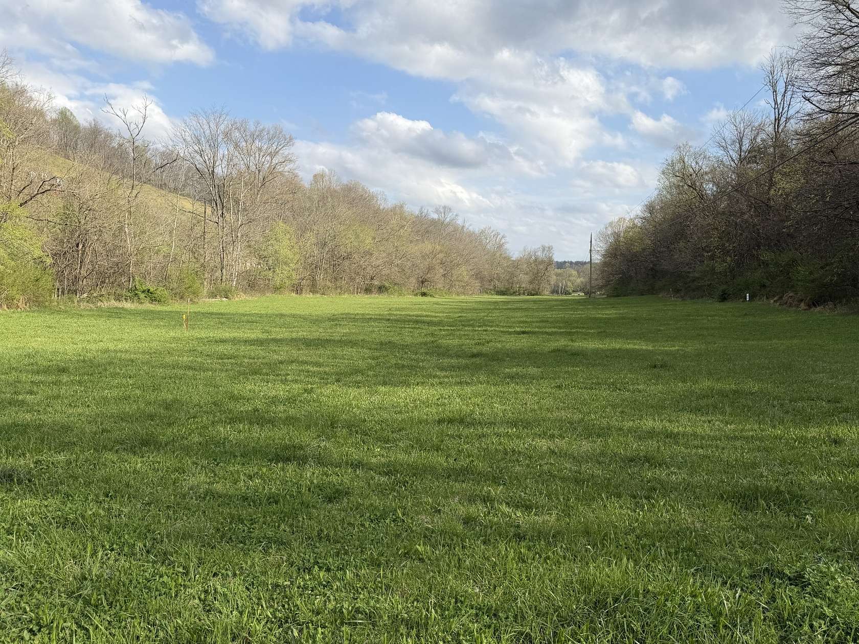 28.5 Acres of Land for Sale in Beechgrove, Tennessee