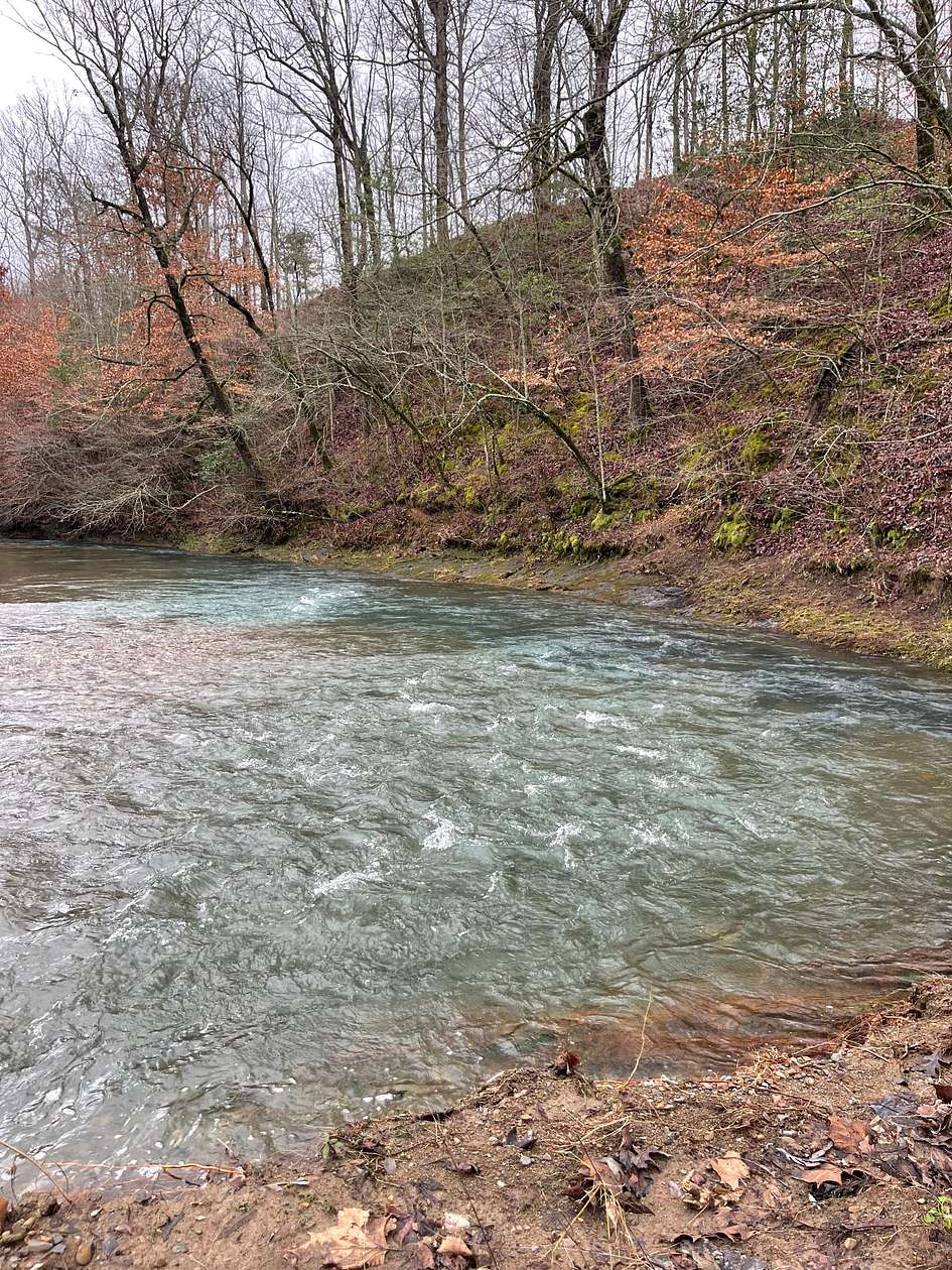174 Acres of Recreational Land for Sale in Norman, Arkansas