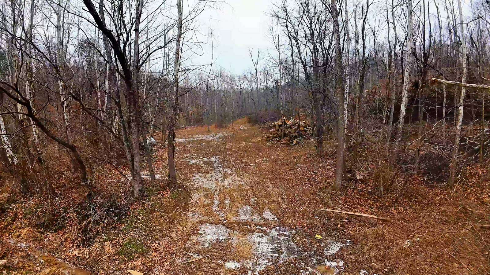28.9 Acres of Recreational & Residential Land for Sale in Pedro, Ohio