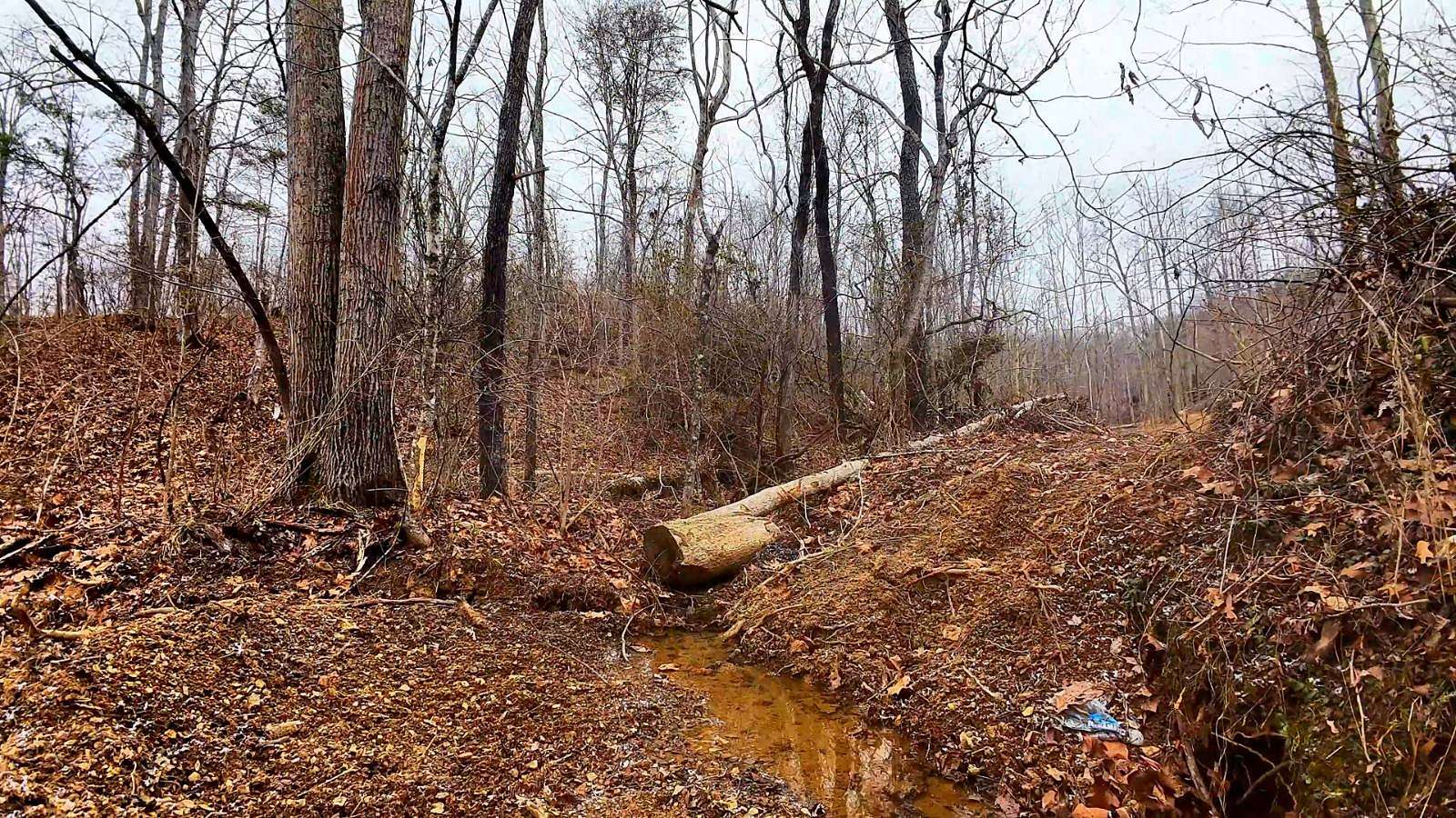 67 Acres of Recreational & Residential Land for Sale in Pedro, Ohio