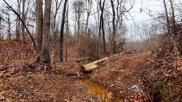 67 Acres of Recreational & Residential Land for Sale in Pedro, Ohio