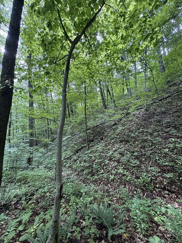 4.85 Acres of Land for Sale in Bryson City, North Carolina