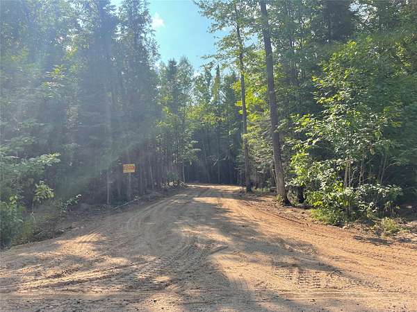 12 Acres of Recreational & Residential Land for Sale in Loretta, Wisconsin