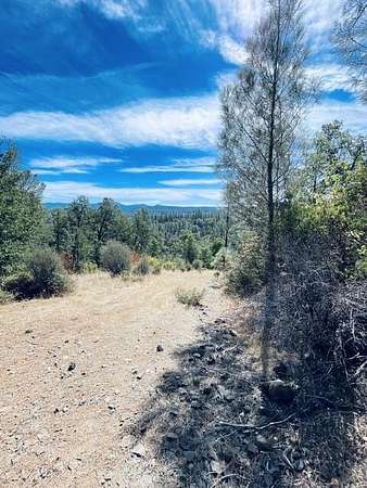 40 Acres of Recreational Land for Sale in Oak Run, California