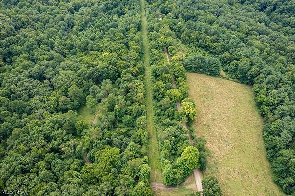 81.9 Acres of Land for Sale in Warsaw, Ohio