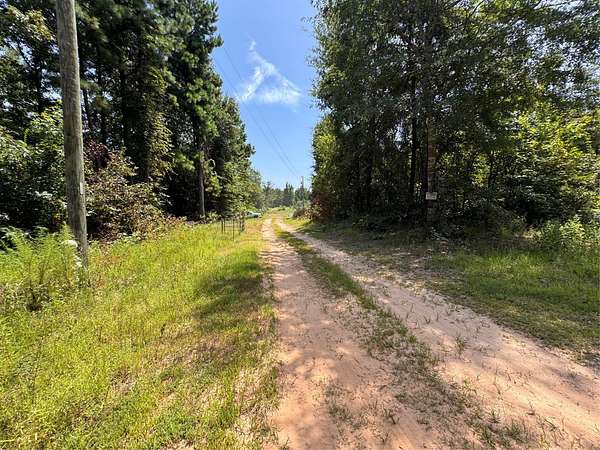16 Acres of Recreational & Residential Land for Sale in Avinger, Texas