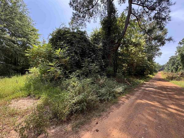 16 Acres of Recreational & Residential Land for Sale in Lone Star, Texas