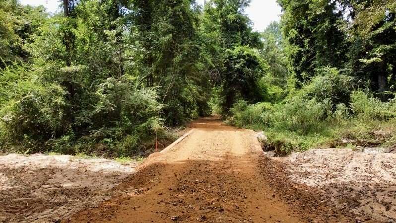 12 Acres of Land for Sale in Linden, Texas