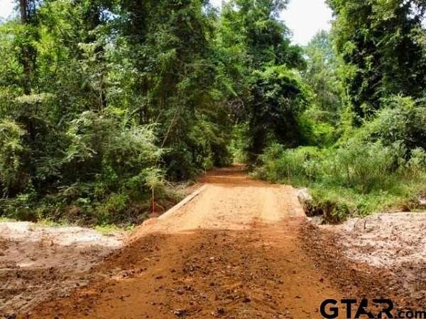 12 Acres of Land for Sale in Linden, Texas
