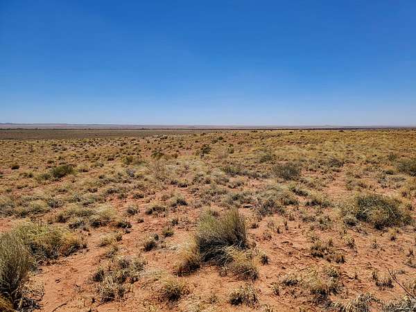 1.25 Acres of Residential Land for Sale in Holbrook, Arizona
