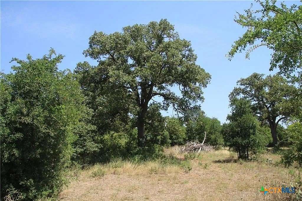 7.3 Acres of Land for Sale in Georgetown, Texas