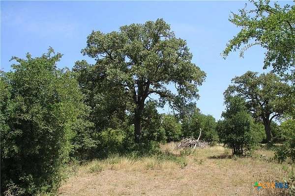 7.3 Acres of Land for Sale in Georgetown, Texas