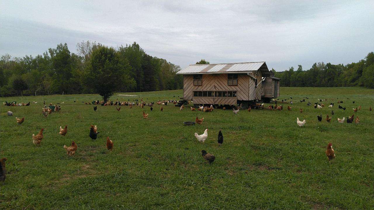 143 Acres of Agricultural Land for Sale in Wilsons, Virginia