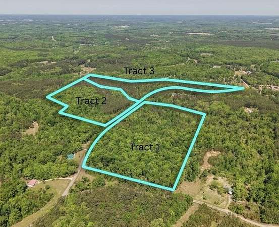 31.9 Acres of Recreational & Residential Land for Sale in Bethel Springs, Tennessee