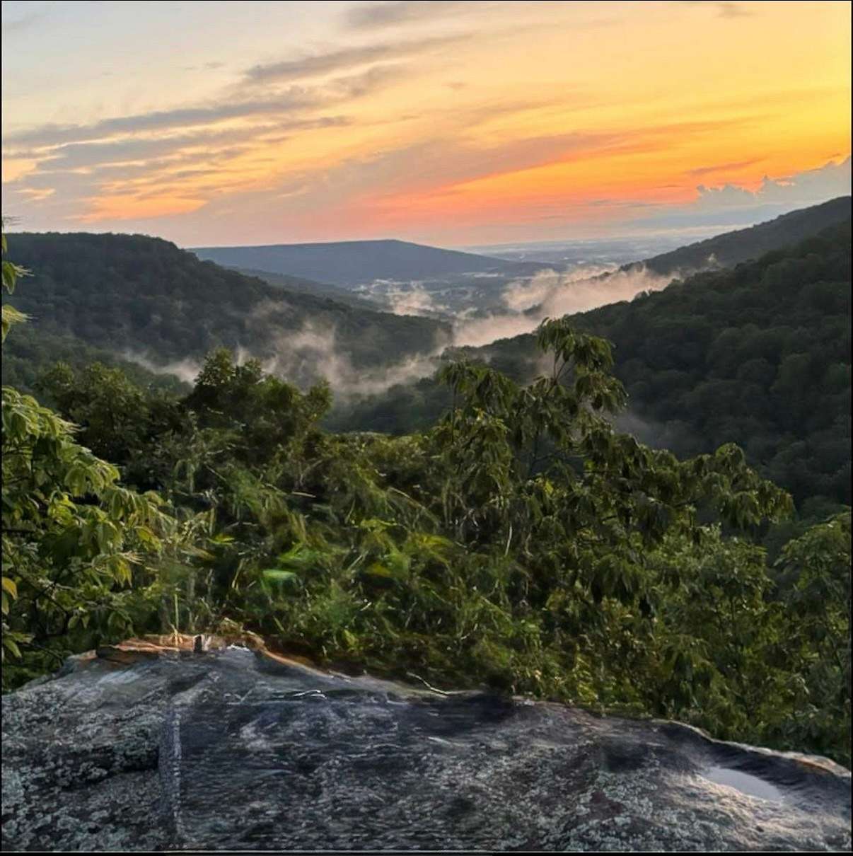 54 Acres of Recreational & Residential Land for Sale in Monteagle, Tennessee