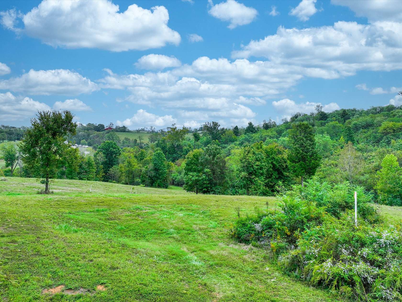 15 Acres of Land for Sale in Spring Hill, Tennessee