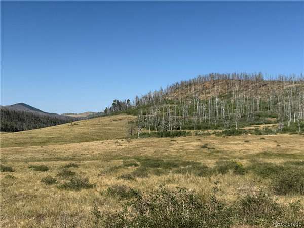 40 Acres of Land for Sale in Fort Garland, Colorado