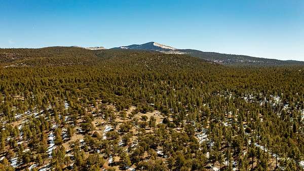 38,088 Acres of Land for Sale in Grants, New Mexico